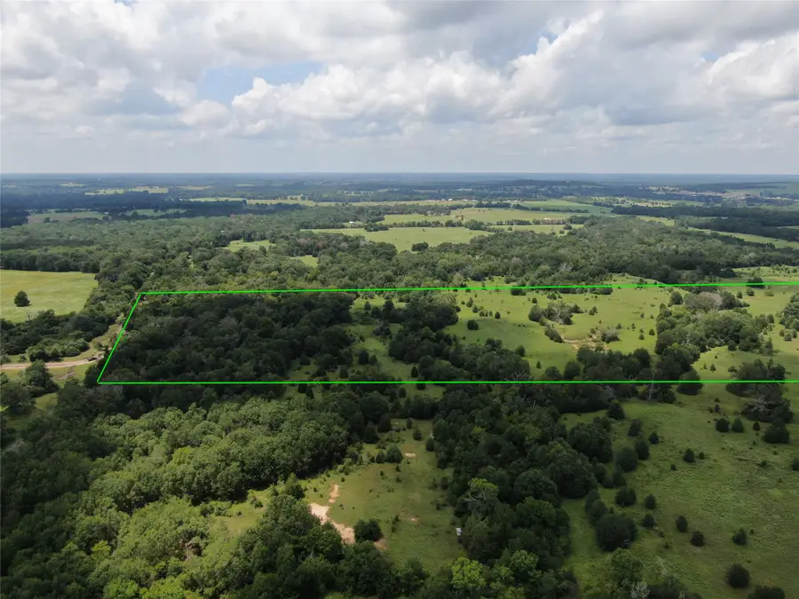 1 Cr 411, Buffalo, TX 75831 - #3