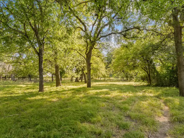 1037 Private Road 4481, Decatur, TX 76234