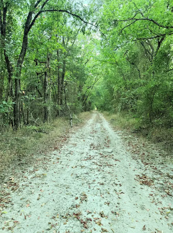 6343 County Road 4727, Wolfe City, TX 75496