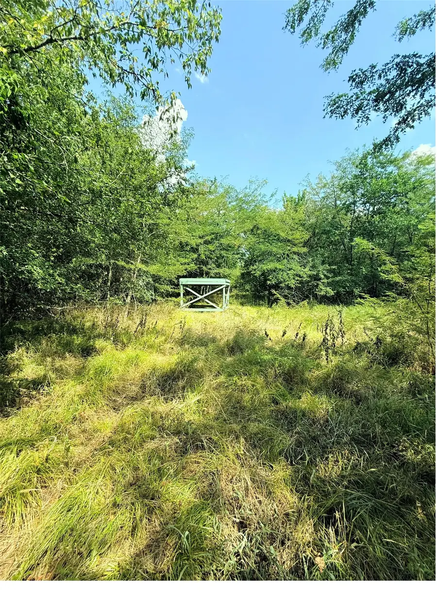 6343 County Road 4727, Wolfe City, TX 75496 - #3