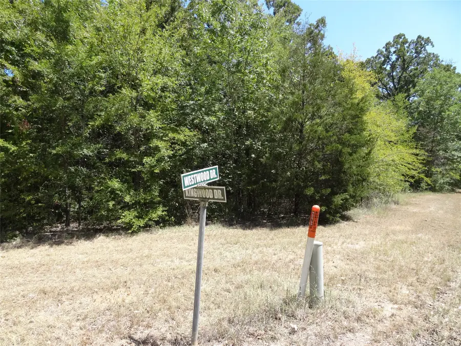 Lot 113 Westwood Drive, Trinidad, TX 75163 - #2