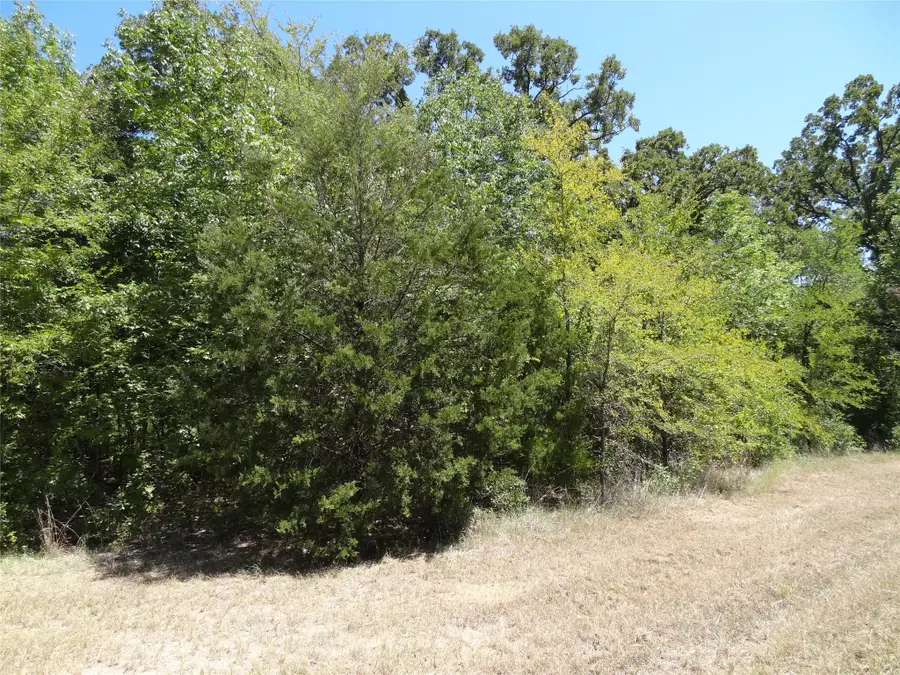 Lot 113 Westwood Drive, Trinidad, TX 75163 - #3