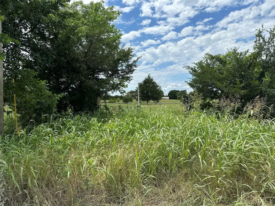 2641 Lemonade Lane, Farmersville, TX 75442 - #3