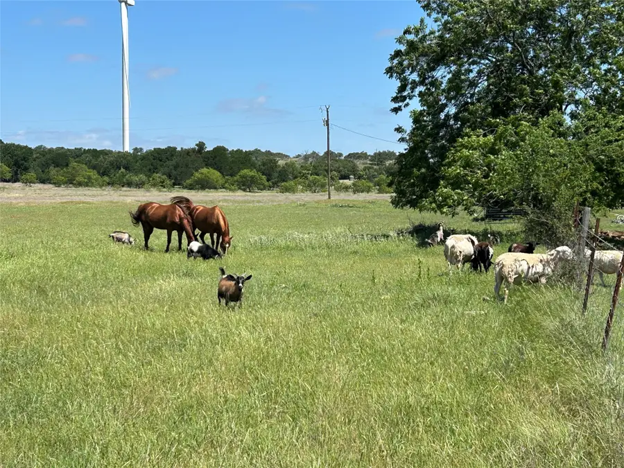 TBD Fm 2005, Goldthwaite, TX 76844 - #2