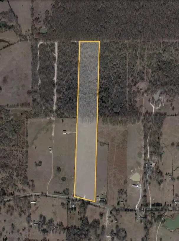 560 W Fm-71, Mount Pleasant, TX 75455 - #2