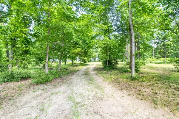 3126 Shadow Pine Drive, Larue, TX 75770