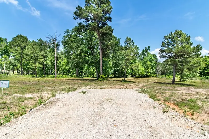 3126 Shadow Pine Drive, Larue, TX 75770 - #2