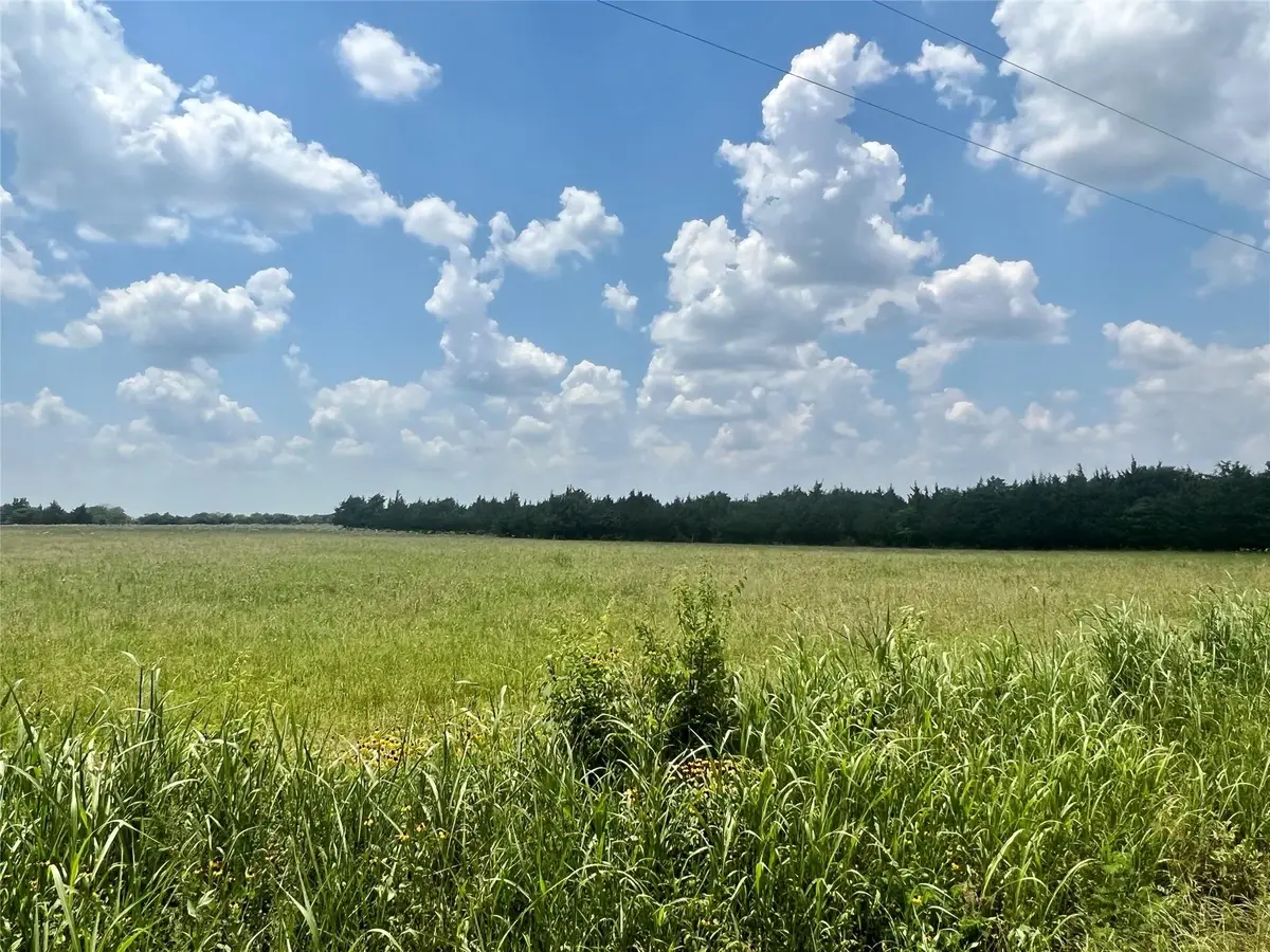 3442 County Road, Blossom, TX 75416 - #1