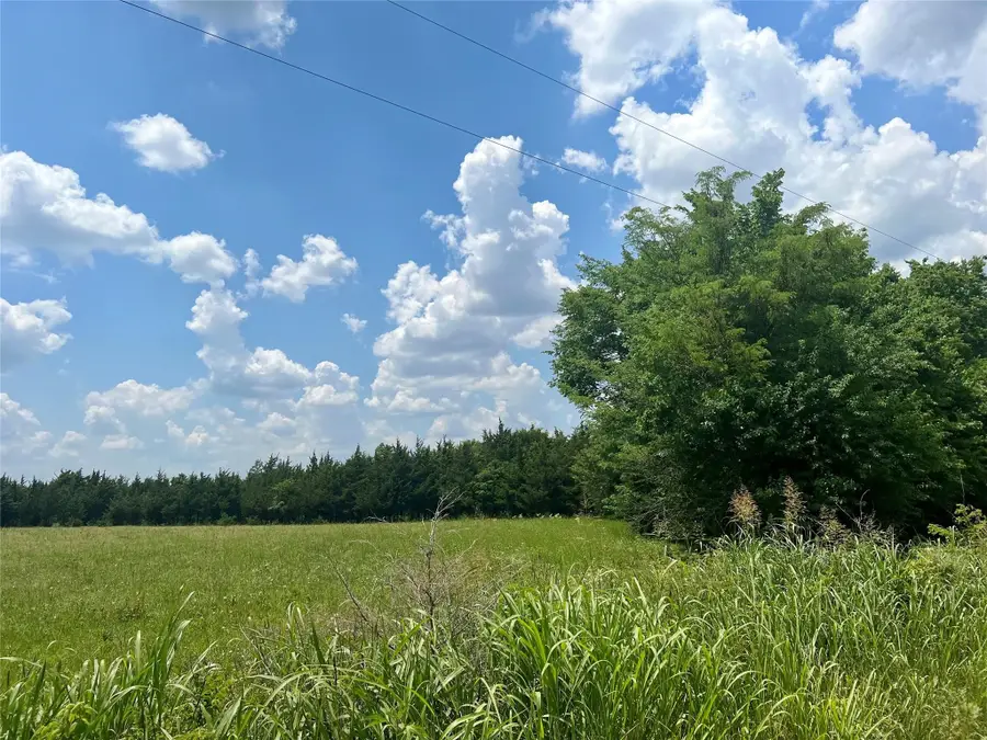 3442 County Road, Blossom, TX 75416 - #2
