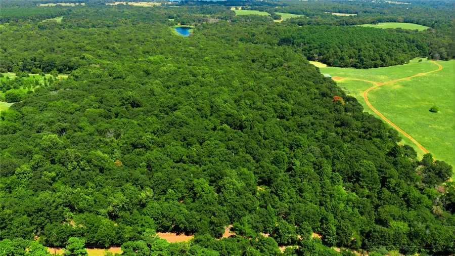 TBD Cr 3613, Chandler Brownsboro, TX 75758 - #2