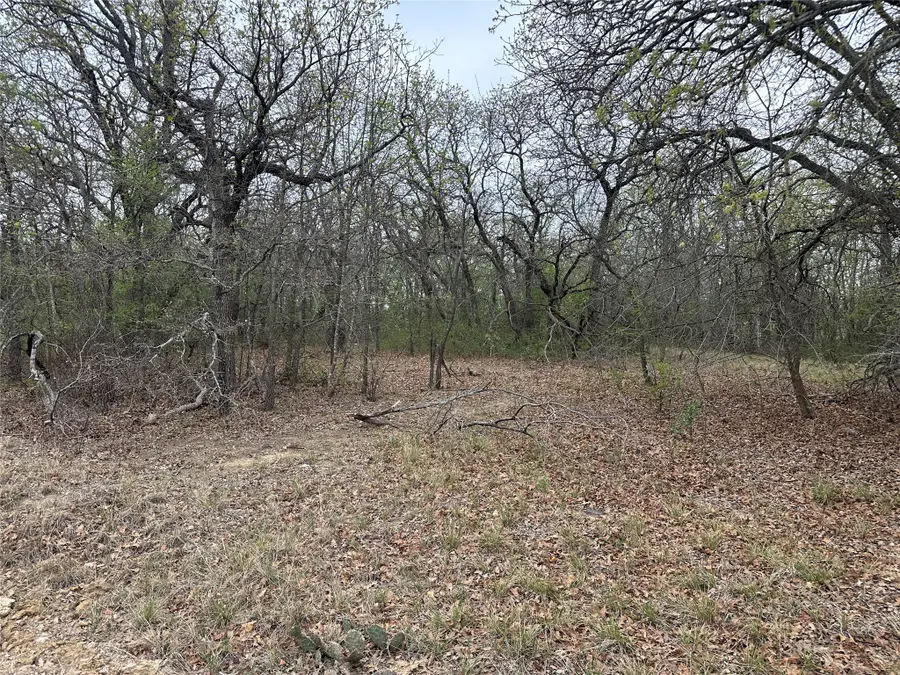 TBD Martins Lane, Runaway Bay, TX 76426 - #2