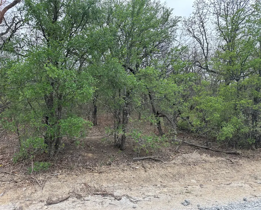 TBD Martins Lane, Runaway Bay, TX 76426 - #3