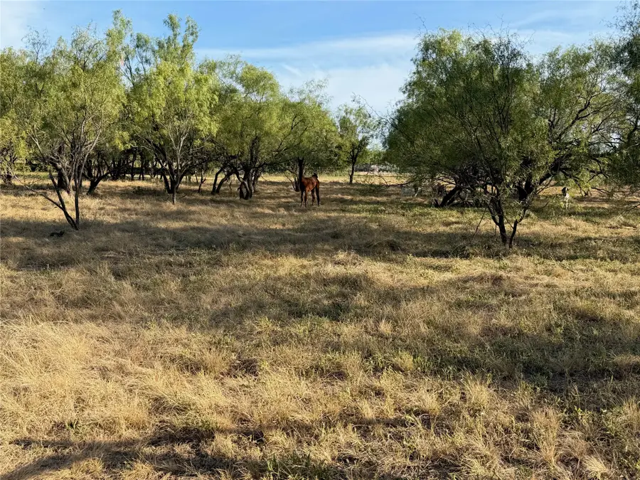 3930 Crestridge Drive, Brownwood, TX 76801 - #3