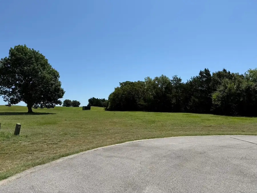 44 Dublin Court, Gordonville, TX 76245 - #2