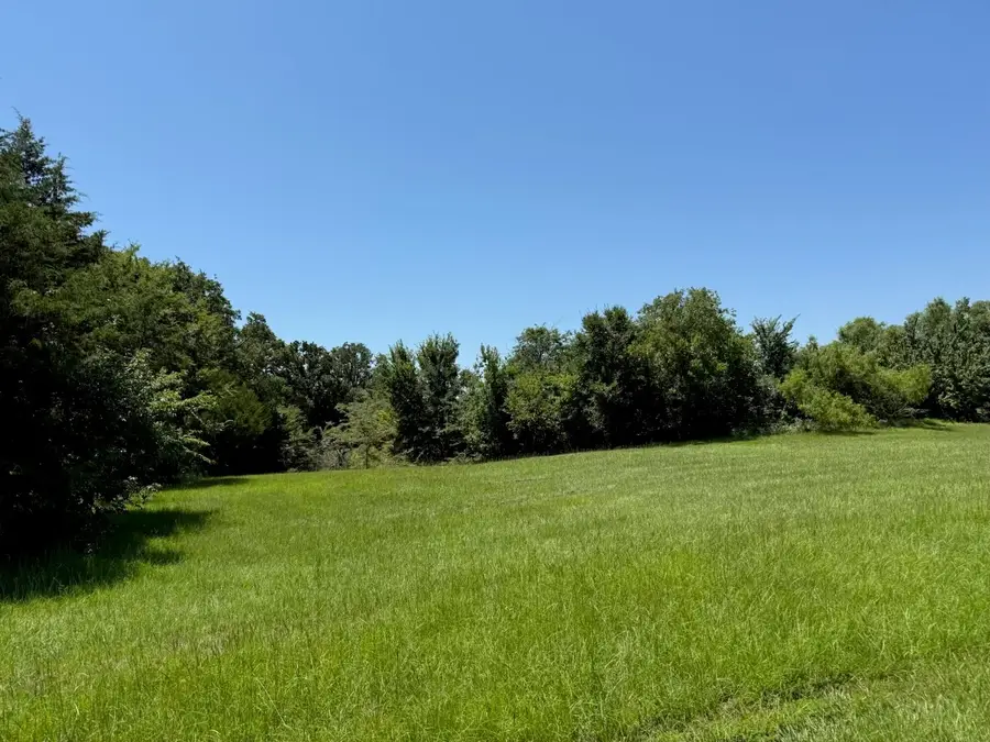 52 Coyote Creek Drive, Gordonville, TX 76245 - #2