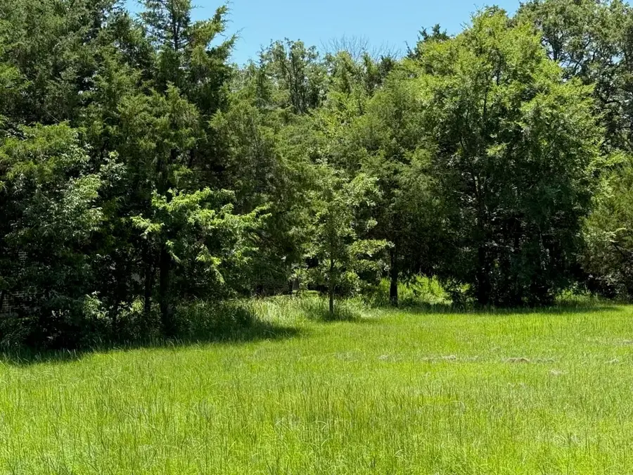 52 Coyote Creek Drive, Gordonville, TX 76245 - #3