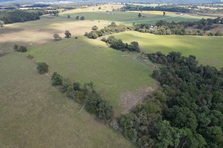 TBD Cr 435, Frankston, TX 75763 - #2