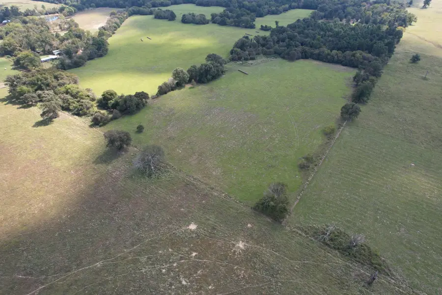 TBD Cr 435, Frankston, TX 75763 - #3