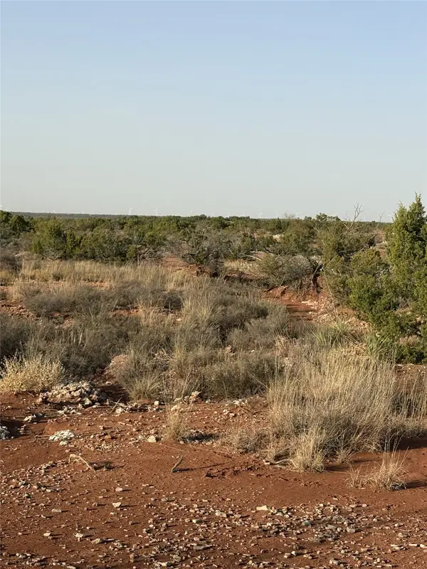 2777 County Road 3600, No City, TX 79227