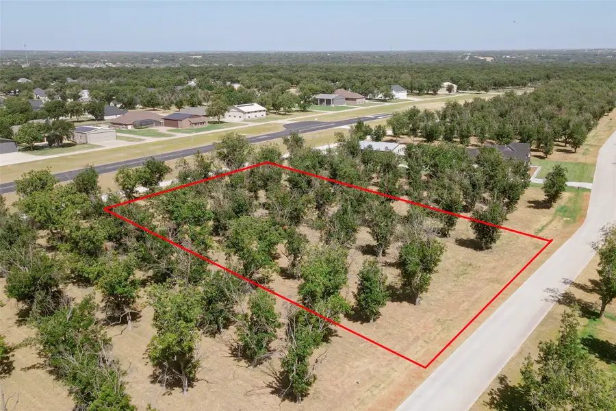 949 E Landings Drive, Granbury, TX 76049 - #3