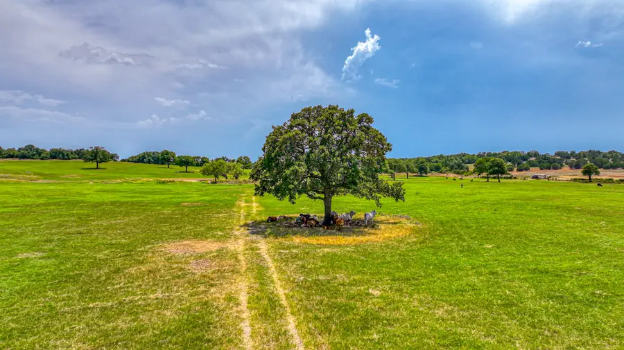 Tract 1 Three Quarter Loop, Poolville, TX 76487 - #3