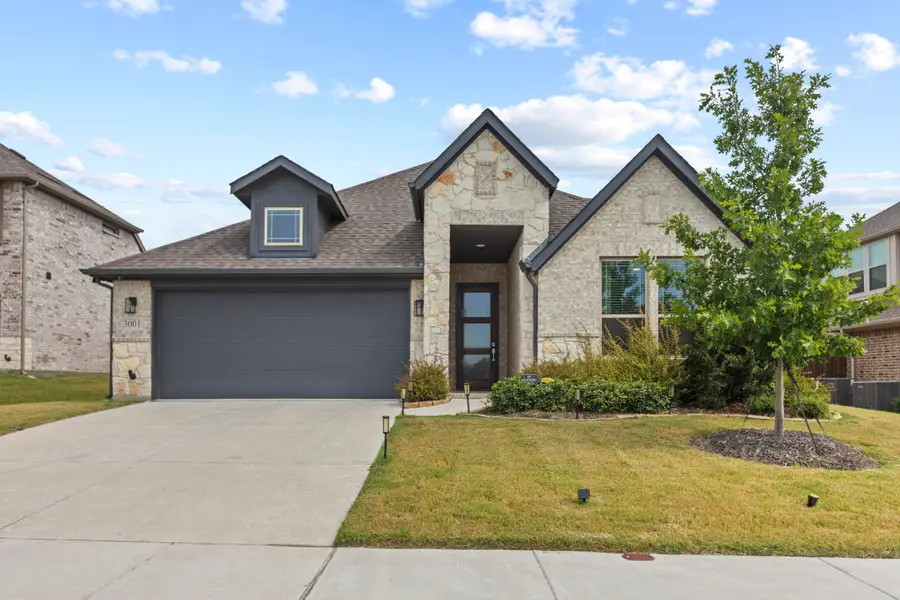 3001 Sierra Trail, Melissa, TX 75454 - #2