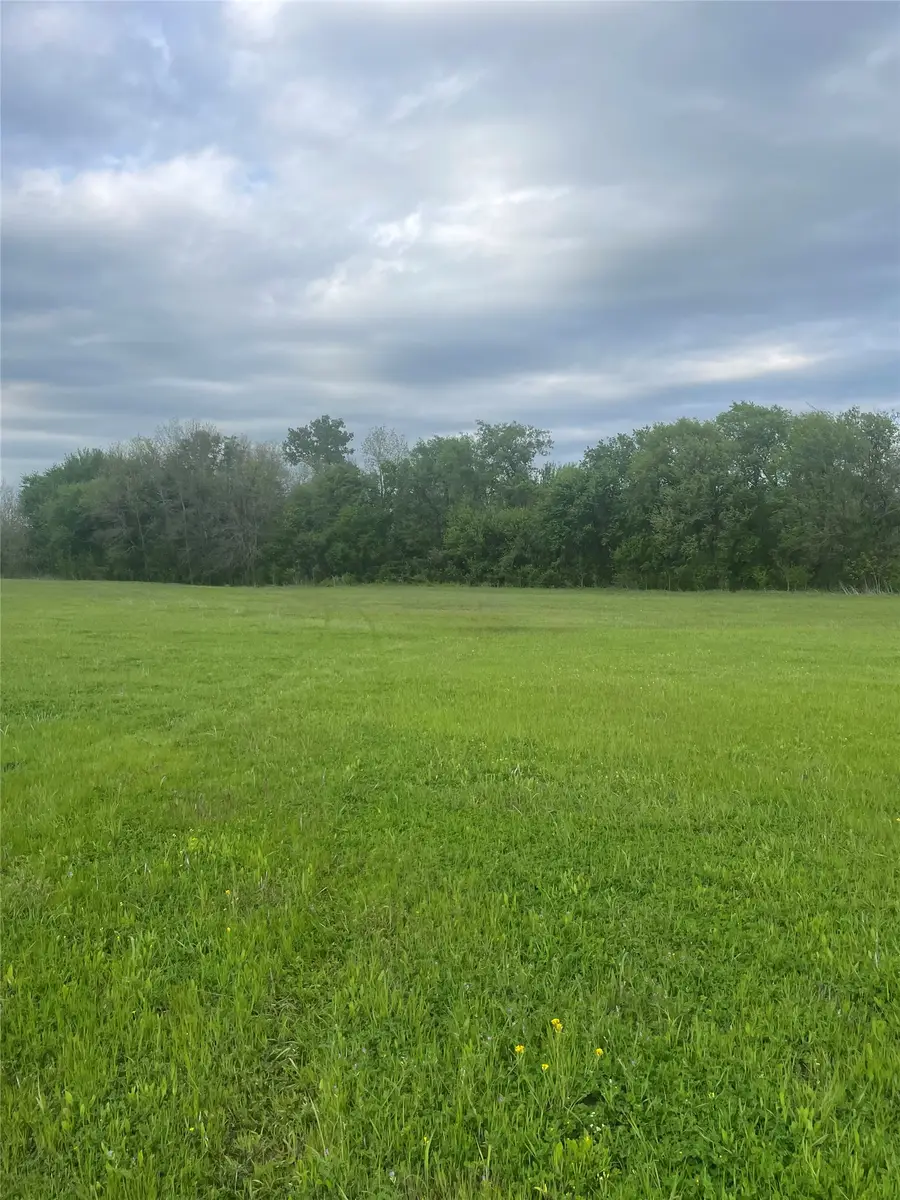 TBD County Road 660, Farmersville, TX 75442 - #3
