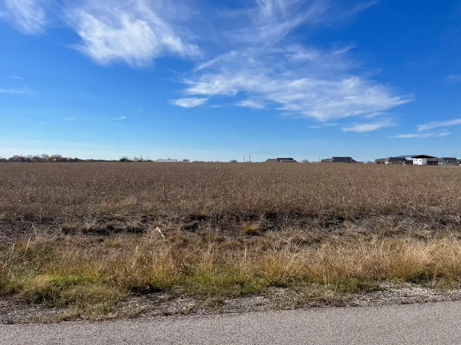 252 Chambers Creek Trail, Alvarado, TX 76009 - #3