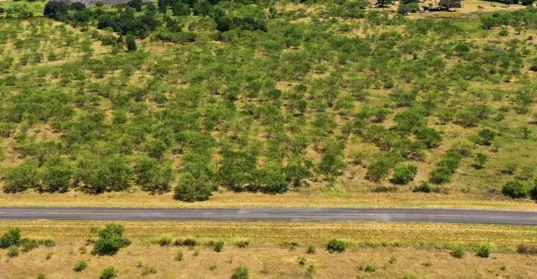 260 Cr 366 #Tract 11, Gorman, TX 76454 - #2