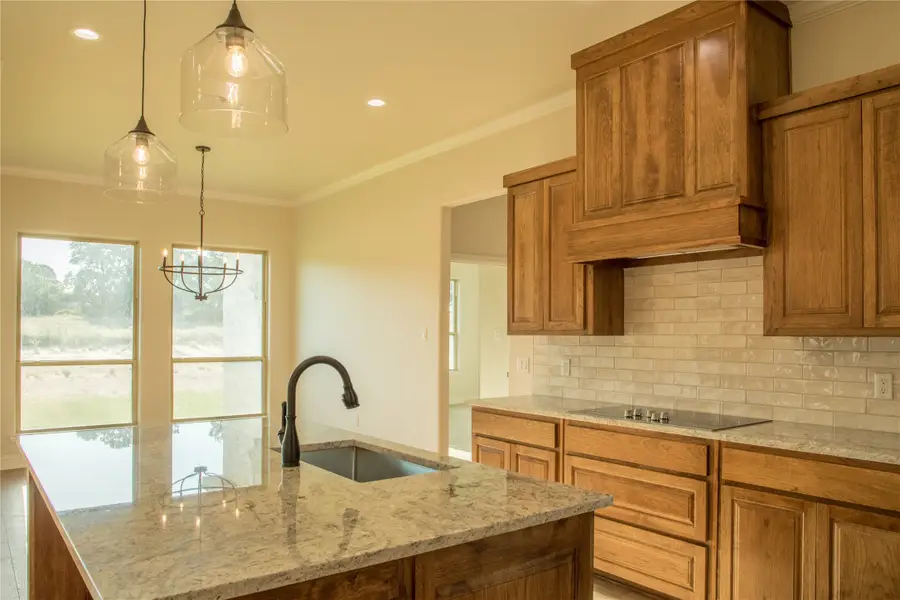 141 Prairie Winds Drive, Poolville, TX 76487 - #3
