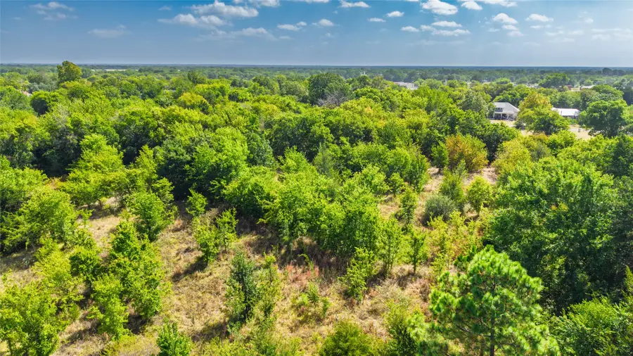 0000 Gladys, Lone Oak, TX 75135 - #2