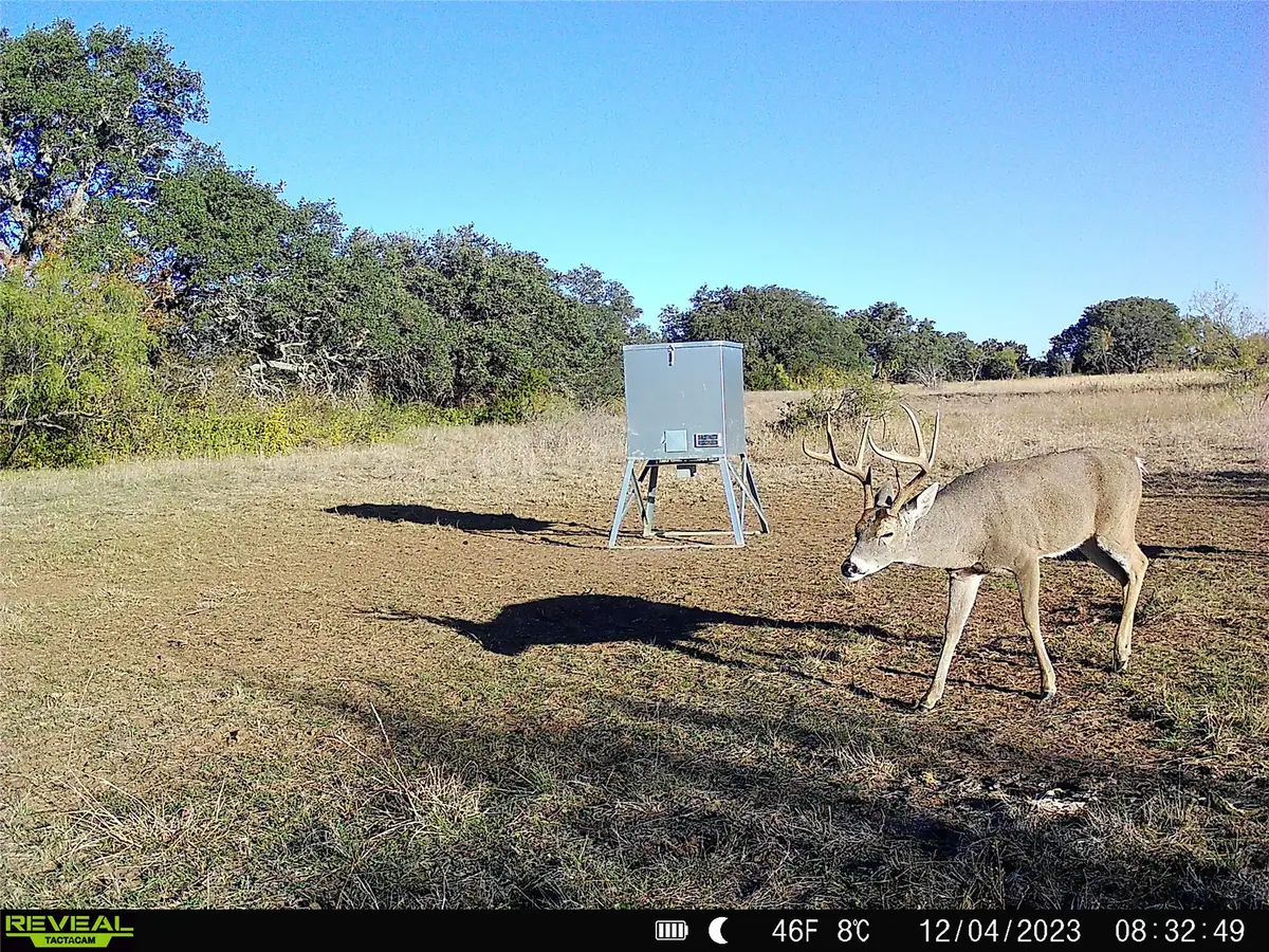 11 County Road 191, Mullin, TX 76864 - #1
