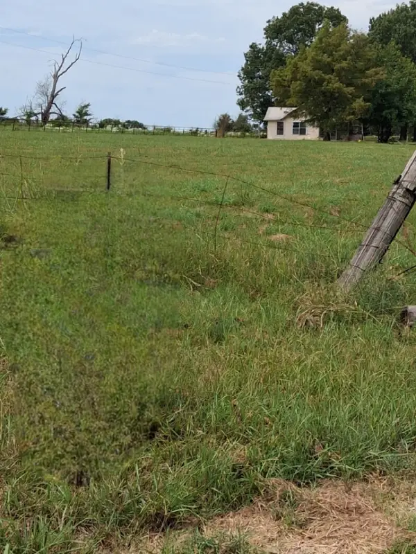 2020 Farm Road 909, Clarksville, TX 75426