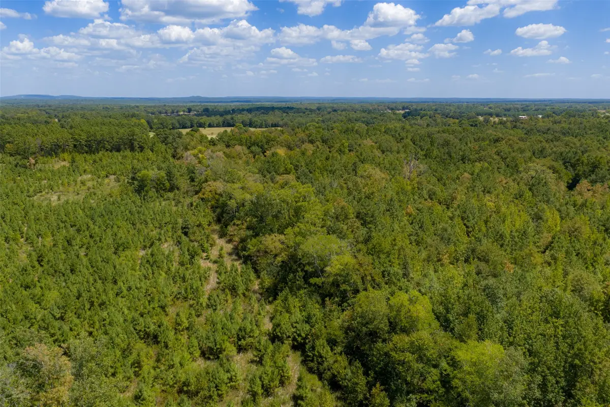 N County Road 1207, Rusk, TX 75785 - #1