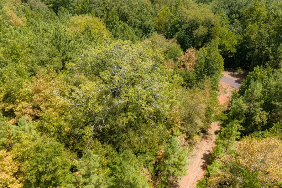 N County Road 1207, Rusk, TX 75785 - #2