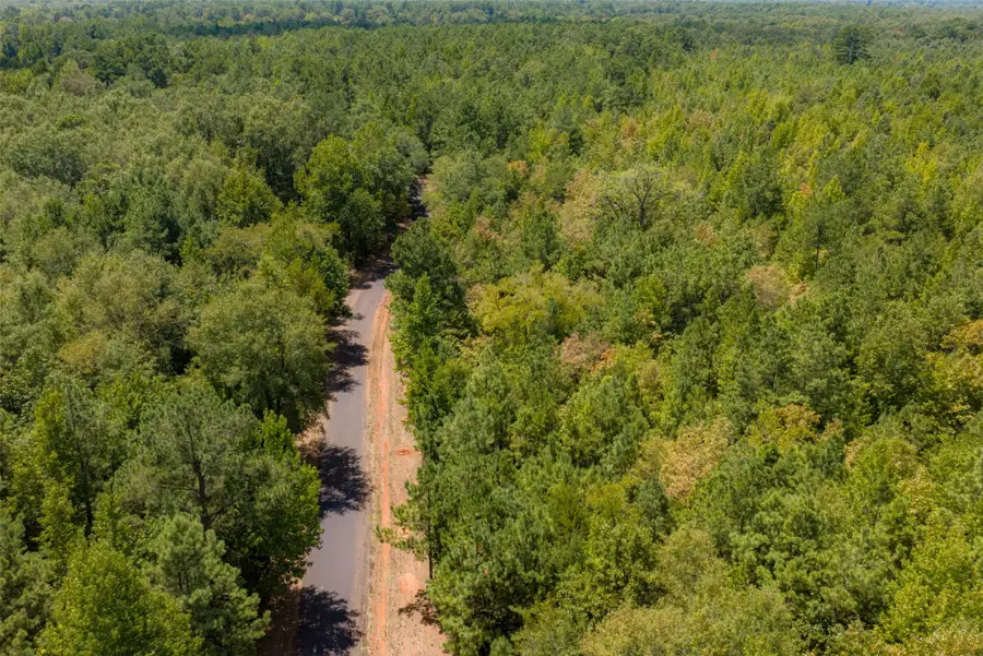 N County Road 1207, Rusk, TX 75785 - #3
