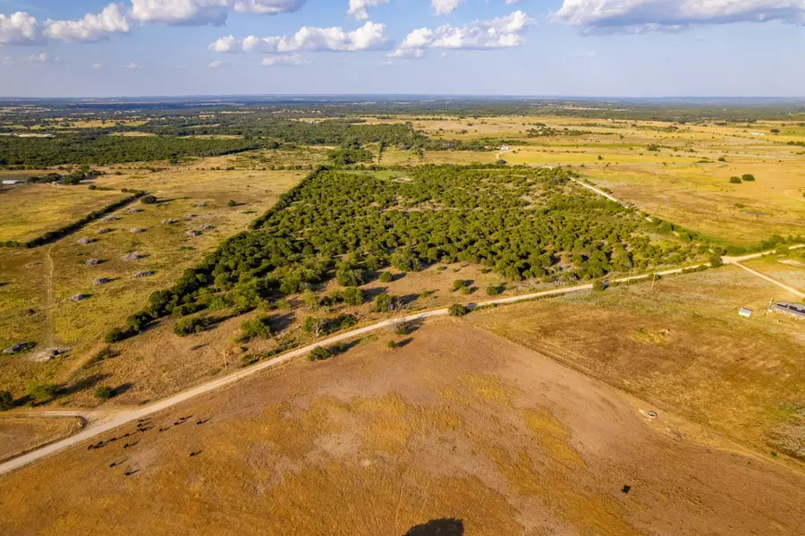 TBD Fm 914, Carlton, TX 76436 - #2