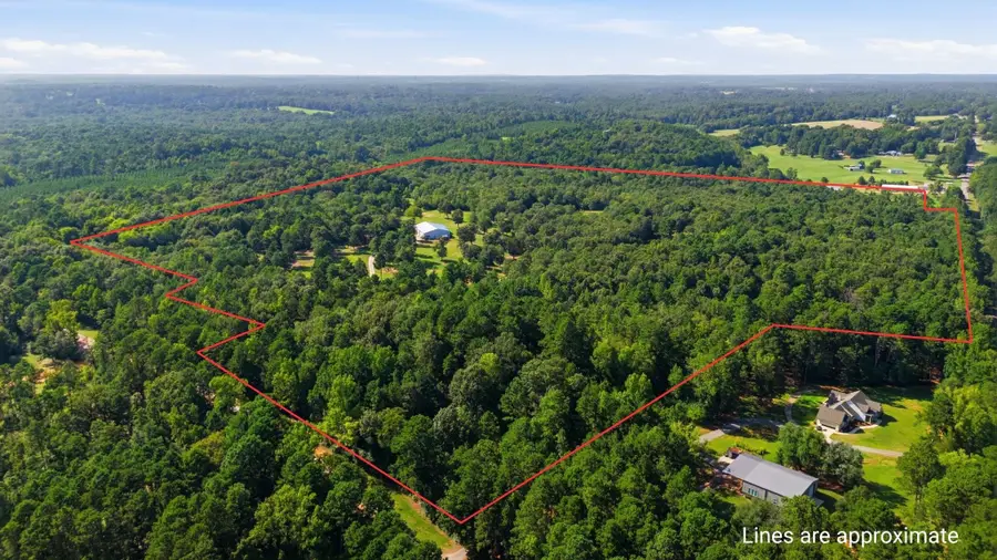 12842 Farm To Market 838, Overton, TX 75684 - #2