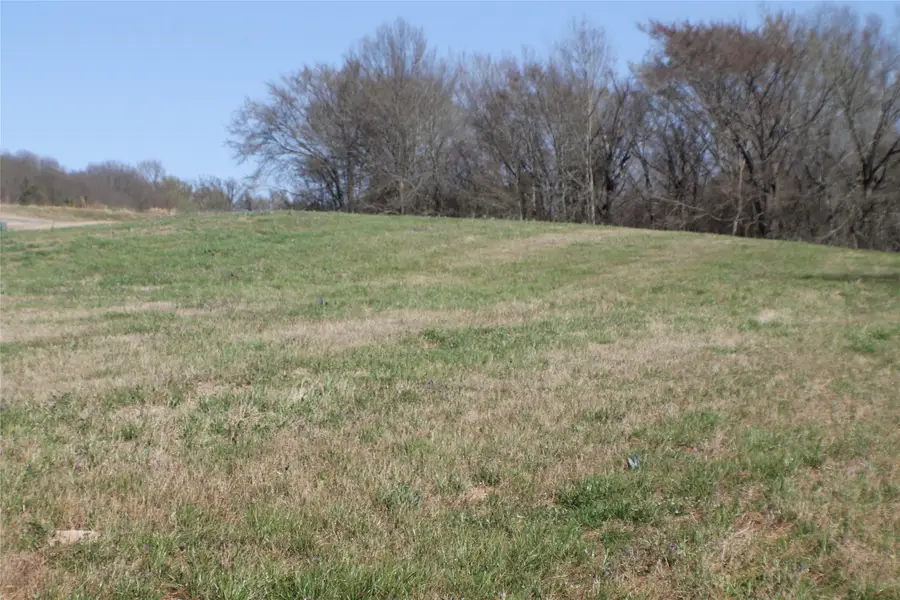0 Lago Vista Drive, Athens, TX 75752 - #2