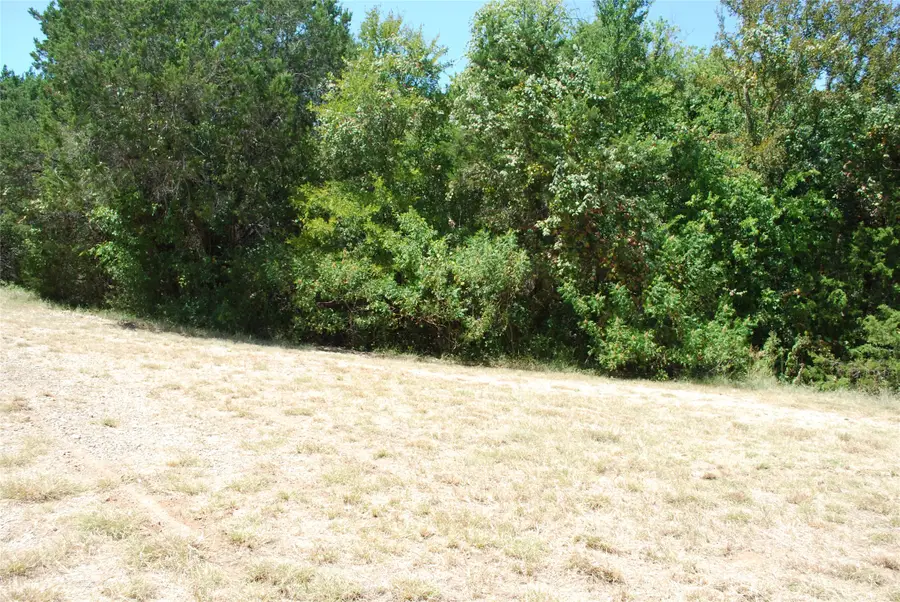 1702 Shadow Rock Court, Whitney, TX 76692 - #3