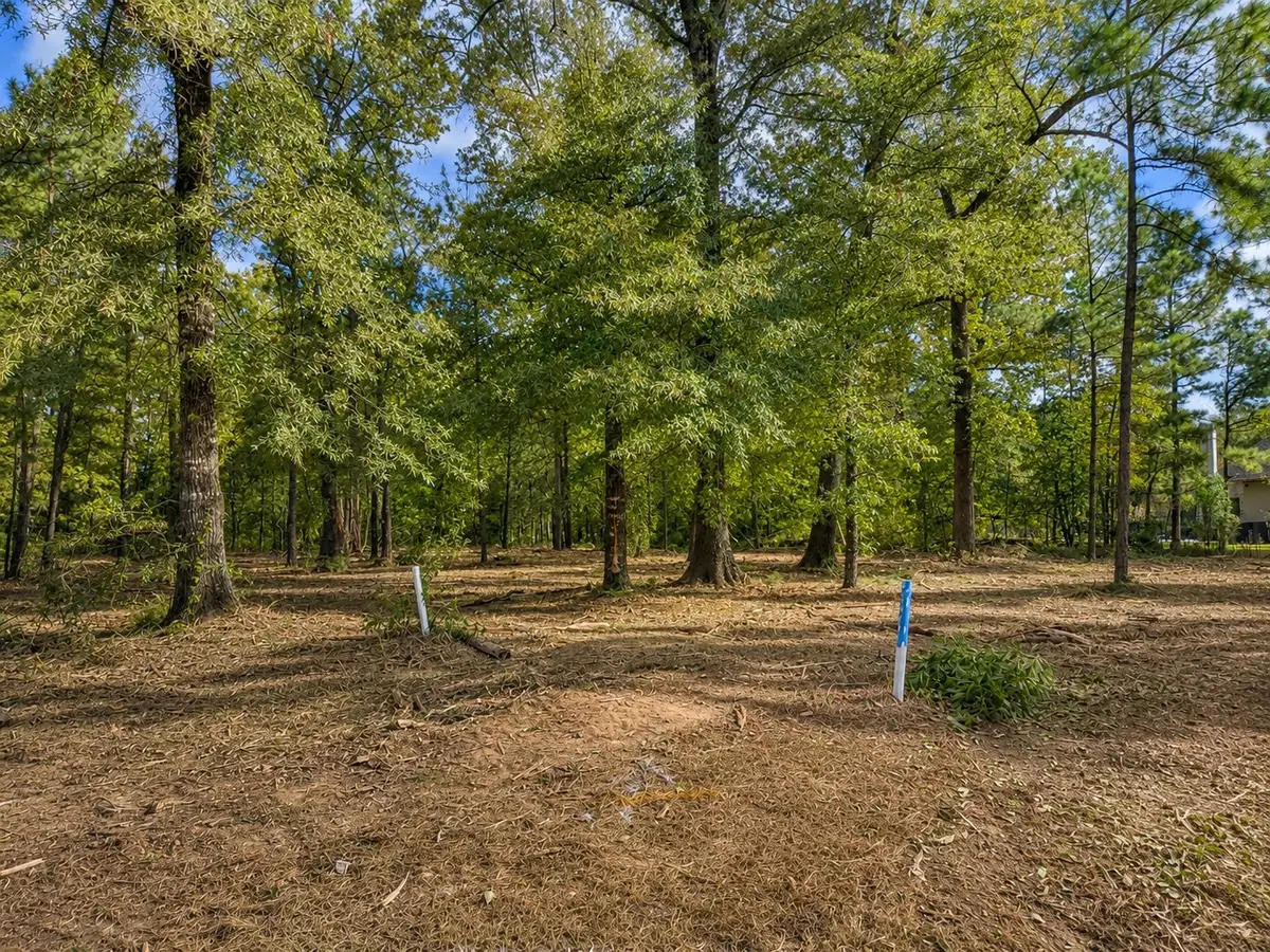 4 Lochinvar Lane, Shreveport, LA 71106 - #1
