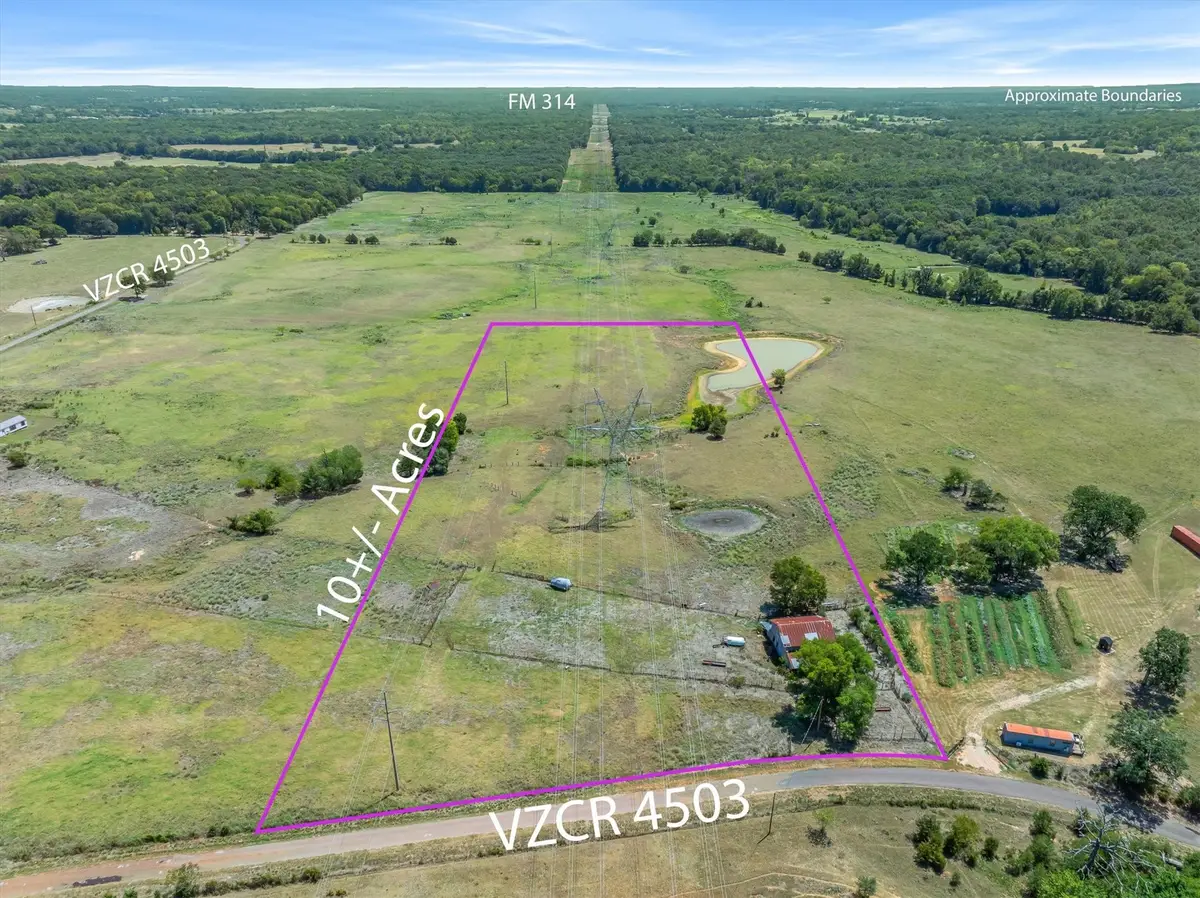 10.02 Acres Vz County Road 4503, Ben Wheeler, TX 75754 - #1