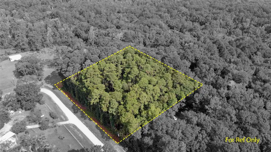 TBD Cypress Creek Drive, Coldspring, TX 77331 - #2