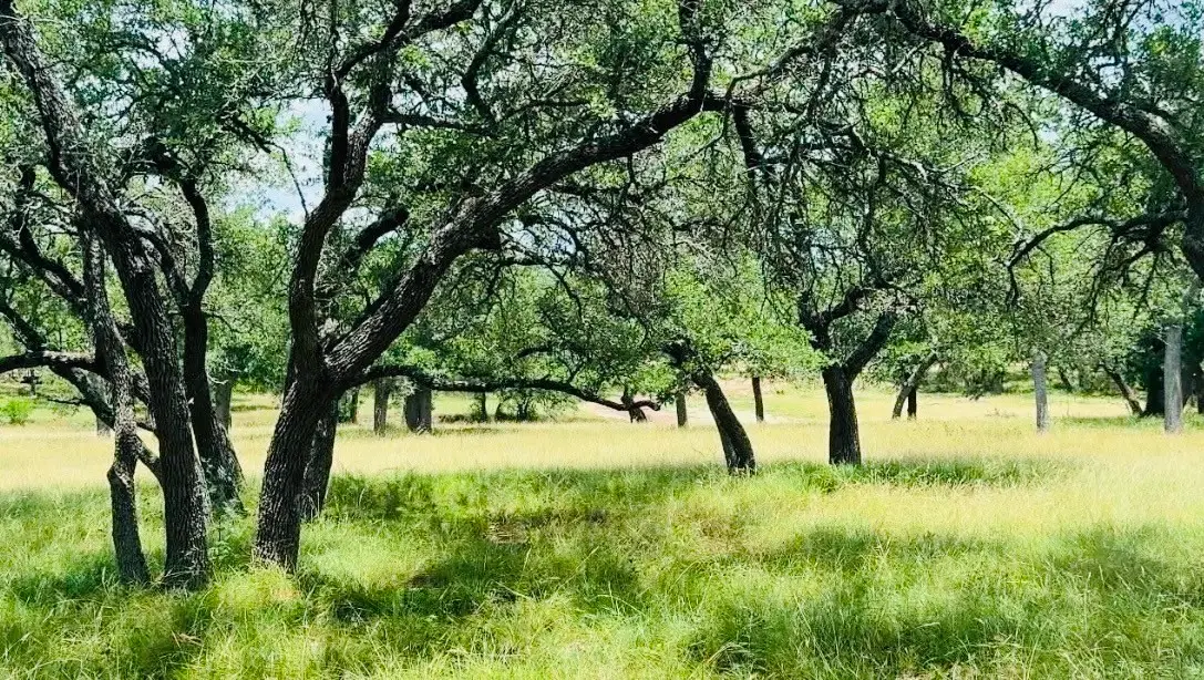 Lot 26 Swiss Ranch Rd, Round Mountain, TX 78663 - #1