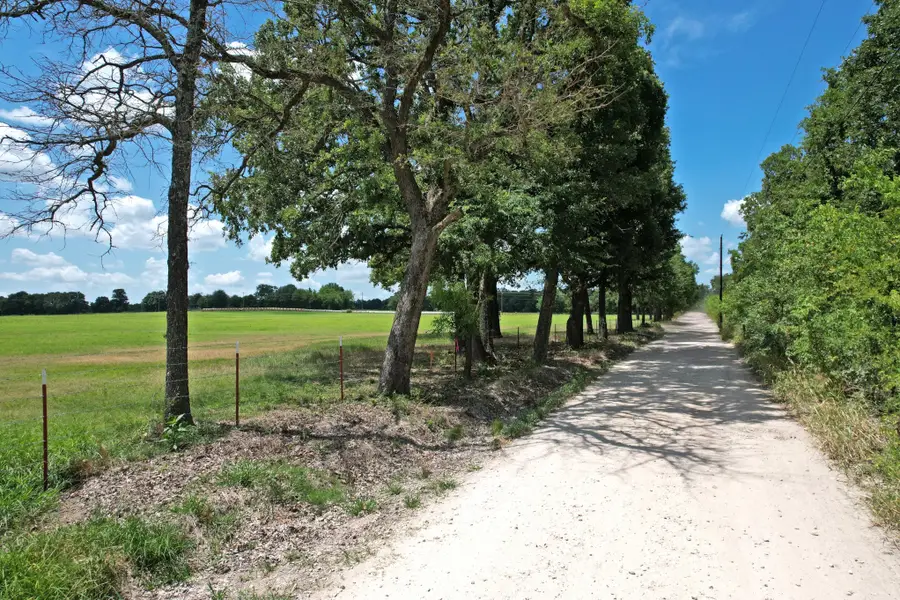Lot 10 Vz County Road 3222, Wills Point, TX 75169 - #3