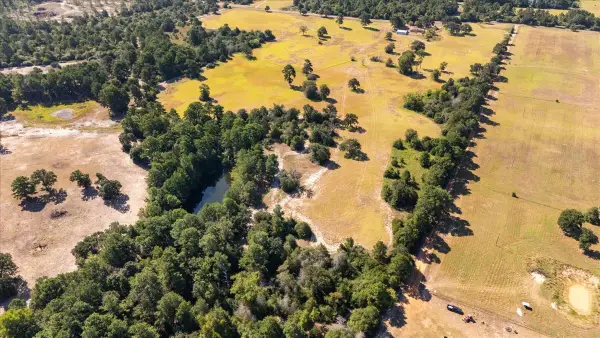 1000 County Road 1208, Grapeland, TX 75844
