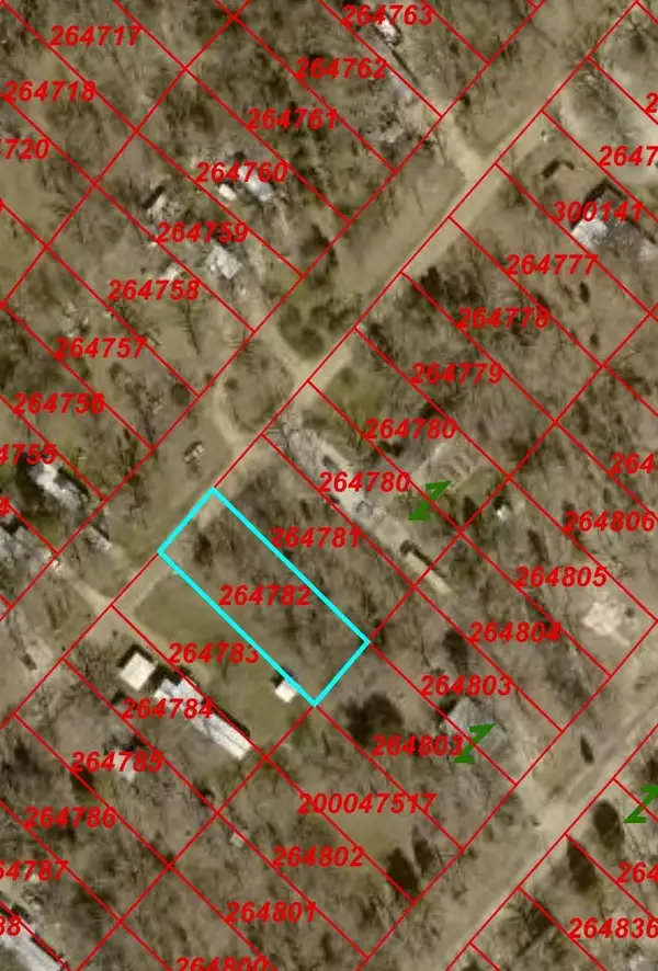 0000 San Jacinto Drive, Log Cabin, TX 75148