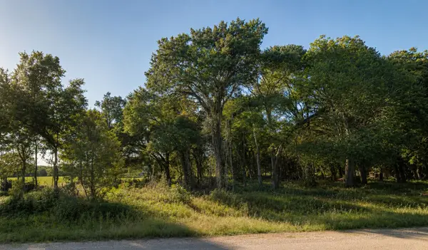 11950 Trinity Hills Road, Kemp, TX 75143
