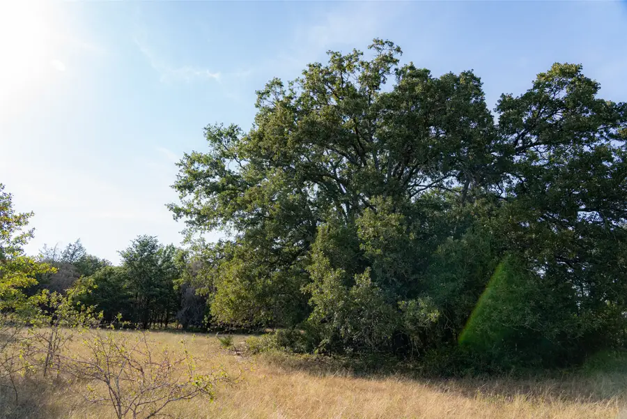 0 Cr 4200, Kerens, TX 75144 - #3