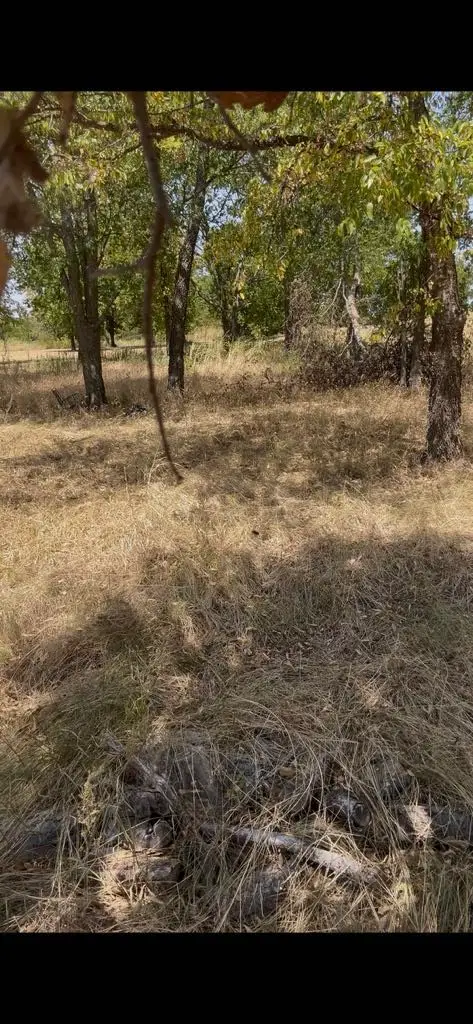103313 Hillside Circle, Lone Oak, TX 75453